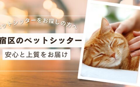 新宿区　ペットシッター　三冠獲得